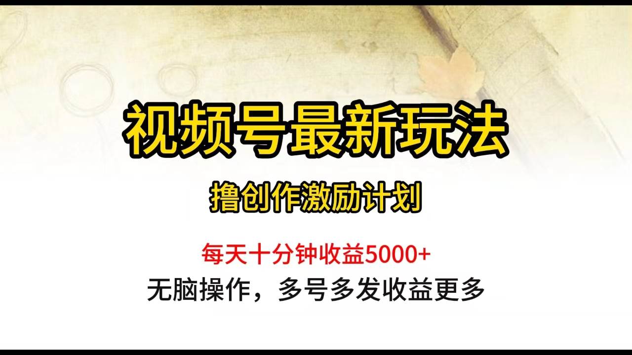 （10087期）视频号最新玩法，每日一小时月入5000+-178分享