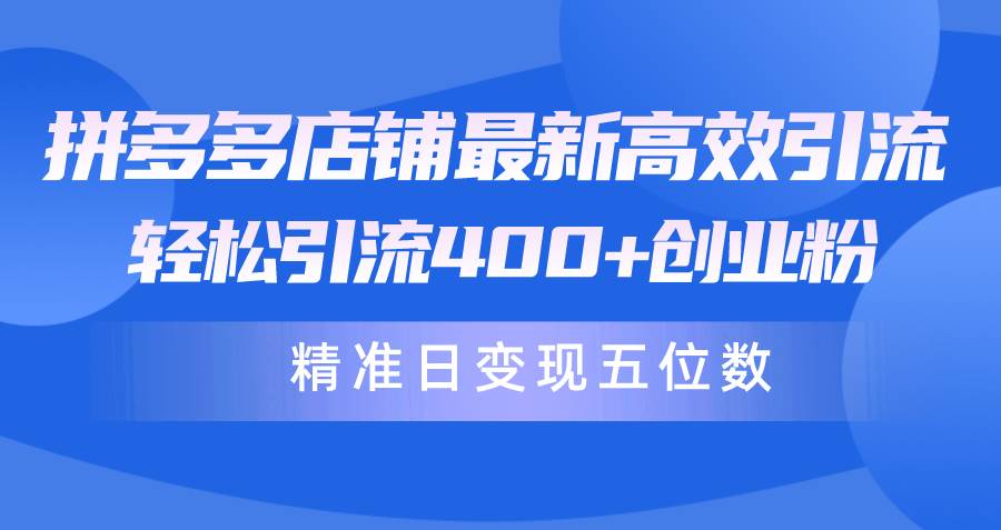 （10041期）拼多多店铺最新高效引流术，轻松引流400+创业粉，精准日变现五位数！-178分享