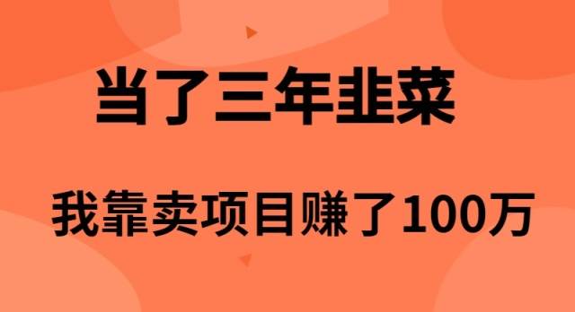 （10149期）当了3年韭菜，我靠卖项目赚了100万-178分享