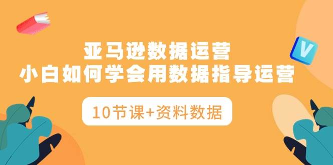 （10158期）亚马逊数据运营，小白如何学会用数据指导运营（10节课+资料数据）-178分享