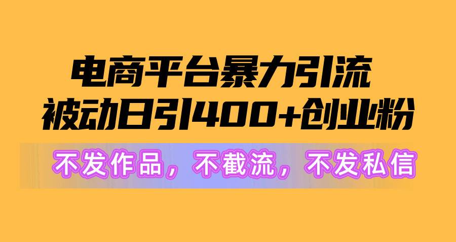 （10168期）电商平台暴力引流,被动日引400+创业粉不发作品，不截流，不发私信-178分享