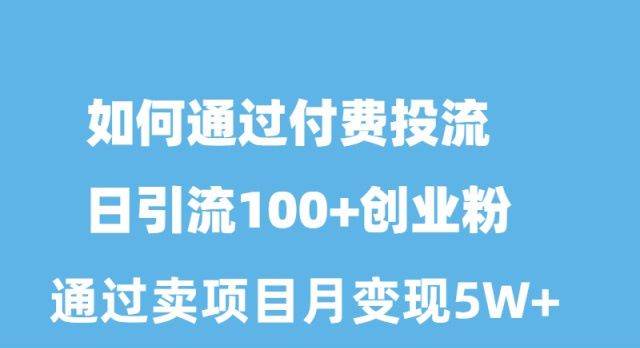 （10189期）如何通过付费投流日引流100+创业粉月变现5W+-178分享