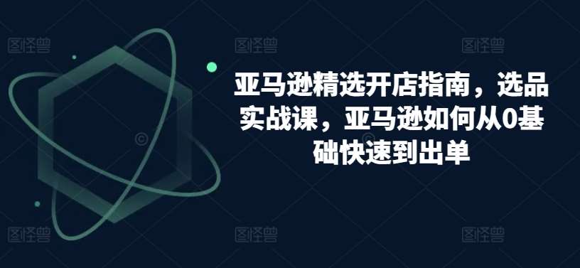 亚马逊精选开店指南，选品实战课，亚马逊如何从0基础快速到出单-178分享