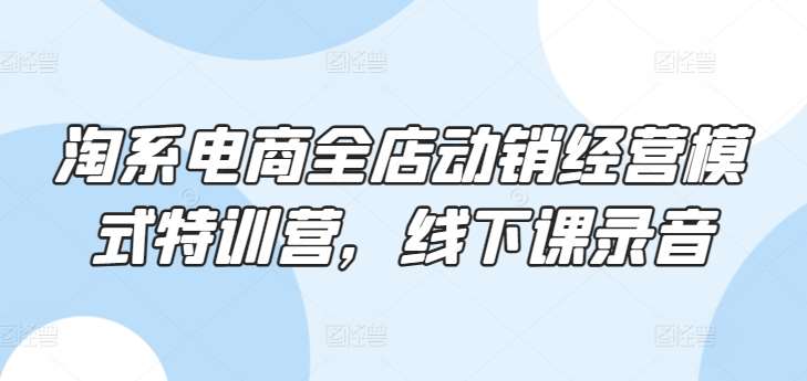 淘系电商全店动销经营模式特训营，线下课录音-178分享