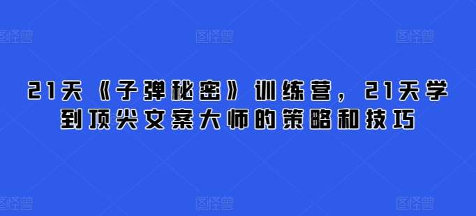 21天《子弹秘密》训练营，21天学到顶尖文案大师的策略和技巧-178分享