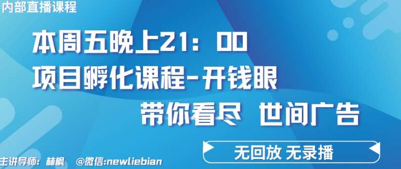 4.26日内部回放课程《项目孵化-开钱眼》赚钱的底层逻辑【揭秘】-178分享