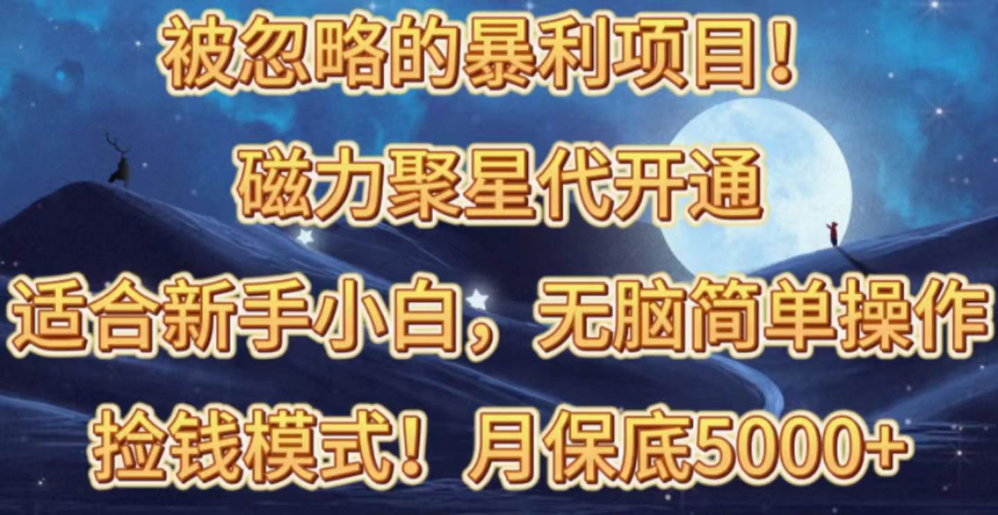 （10245期）被忽略的暴利项目！磁力聚星代开通捡钱模式，轻松月入五六千-178分享