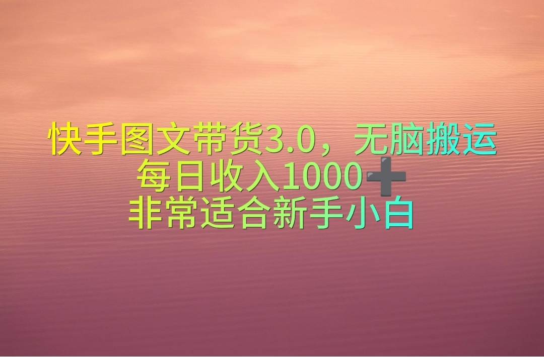 （10252期）快手图文带货3.0，无脑搬运，每日收入1000＋，非常适合新手小白-178分享