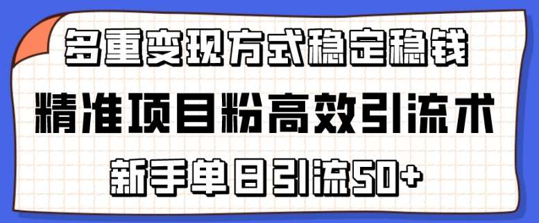 精准项目粉高效引流术，新手单日引流50+，多重变现方式稳定赚钱【揭秘】-178分享