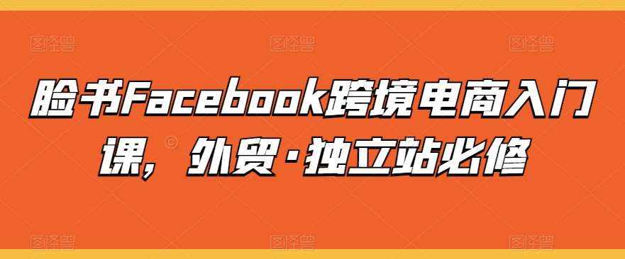 脸书Facebook跨境电商入门课，外贸·独立站必修-178分享