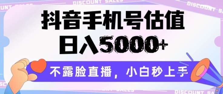 抖音手机号估值，日入5000+，不露脸直播，小白秒上手【揭秘】-178分享