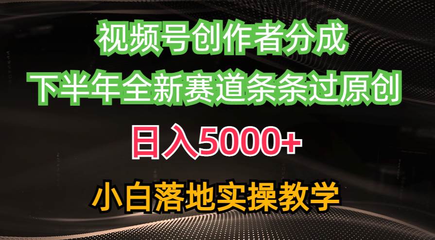 （10294期）视频号创作者分成最新玩法，日入5000+  下半年全新赛道条条过原创，小…-178分享