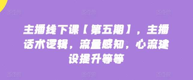 主播线下课【第五期】，主播话术逻辑，流量感知，心流建设提升等等-178分享