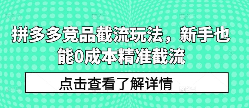 拼多多竞品截流玩法，新手也能0成本精准截流-178分享