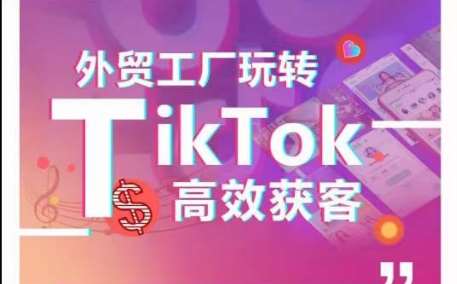 外贸工厂玩转TikTok高效获客，多种引流方式与账号定位技巧，拆解爆款短视频打造成功案例-178分享