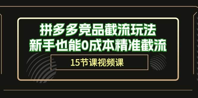 （10301期）拼多多竞品截流玩法，新手也能0成本精准截流（15节课）-178分享