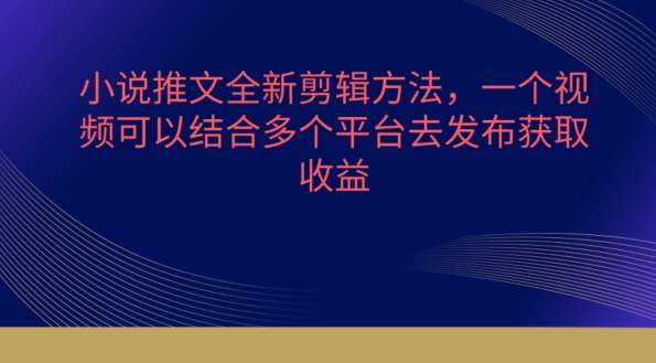 小说推文全新剪辑方法，一个视频可以结合多个平台去发布获取【揭秘】-178分享