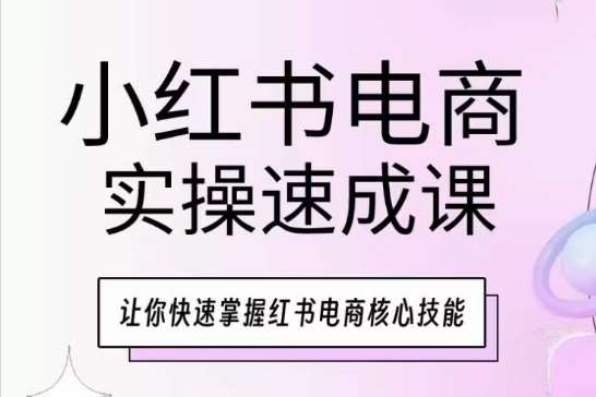 小红书电商实操速成课，让你快速掌握红书电商核心技能-178分享