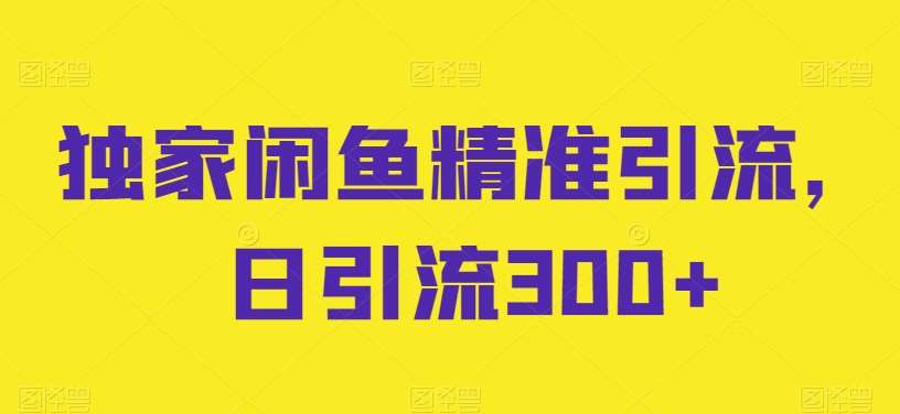 独家闲鱼精准引流，日引流300+【揭秘】-178分享