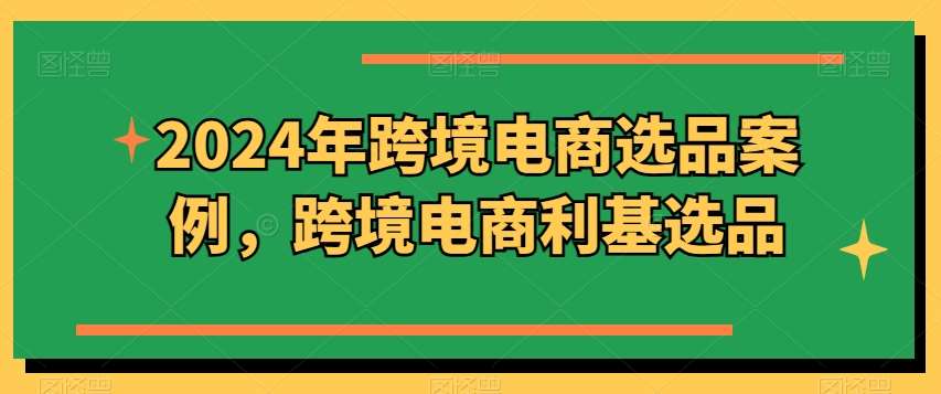 2024年跨境电商选品案例，跨境电商利基选品-178分享