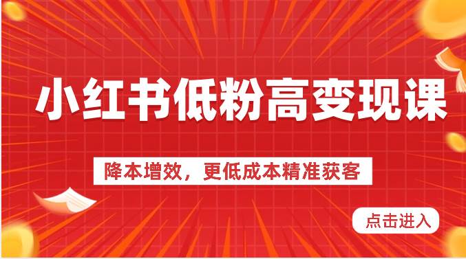 小红书低粉高变现课-降本增效，更低成本精准获客，小红书必爆的流量密码-178分享