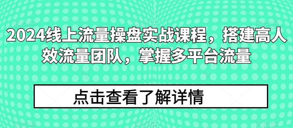 2024线上流量操盘实战课程，搭建高人效流量团队，掌握多平台流量-178分享