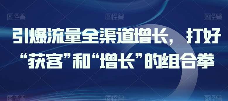 引爆流量全渠道增长，打好“获客”和“增长”的组合拳-178分享