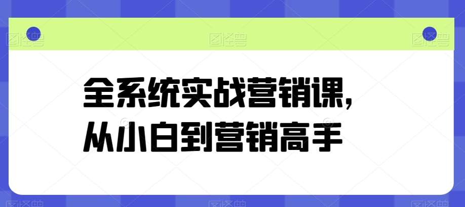 全系统实战营销课，从小白到营销高手-178分享