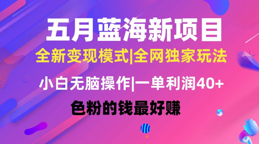 （10477期）五月蓝海项目全新玩法，小白无脑操作，一天几分钟，矩阵操作，月入4万+-178分享