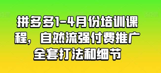 拼多多1-4月份培训课程，自然流强付费推广全套打法和细节-178分享