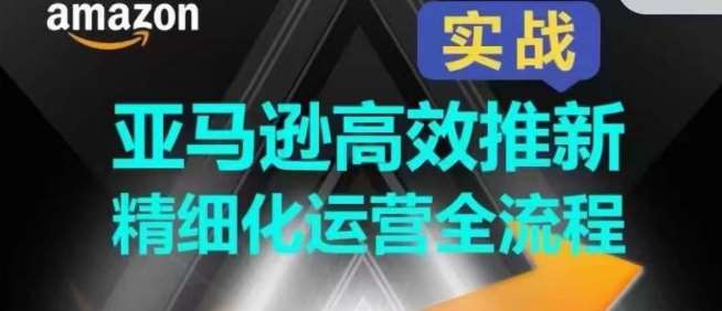 亚马逊高效推新精细化运营全流程，全方位、快速拉升产品排名和销量!-178分享