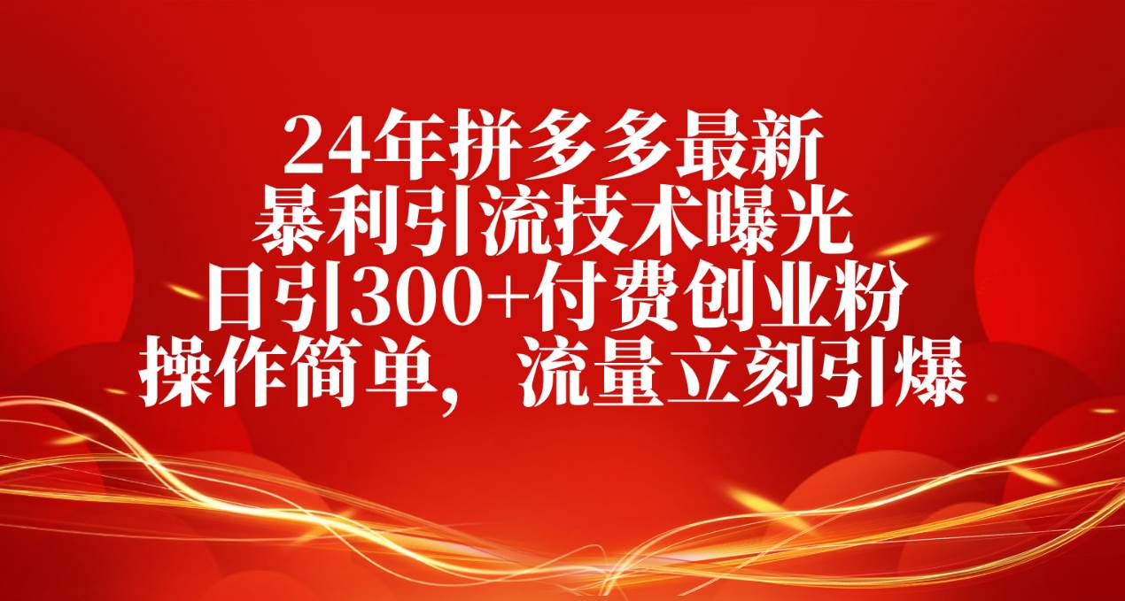 （10559期）24年拼多多最新暴利引流技术曝光，日引300+付费创业粉，操作简单，流量…-178分享