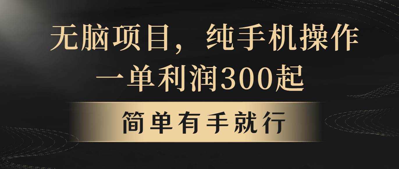 （10589期）无脑项目，一单几百块，轻松月入5w+，看完就能直接操作-178分享