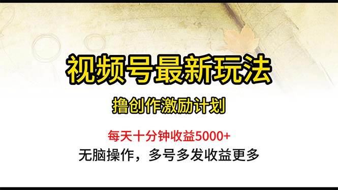 （10591期）视频号最新玩法，每日一小时月入5000+-178分享