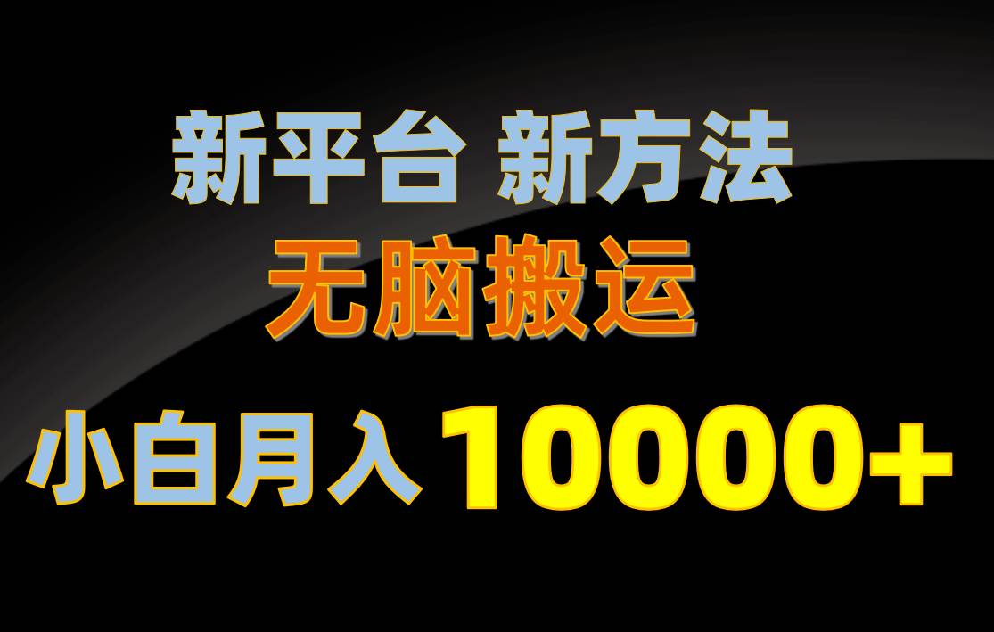 （10605期）新平台新方法，无脑搬运，月赚10000+，小白轻松上手不动脑-178分享