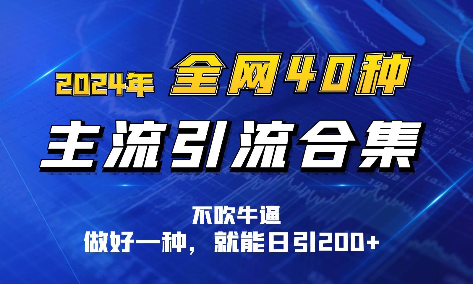 2024年全网40种暴力引流合计，做好一样就能日引100+-178分享