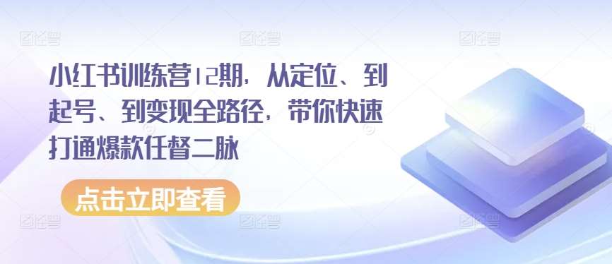 小红书训练营12期，从定位、到起号、到变现全路径，带你快速打通爆款任督二脉-178分享