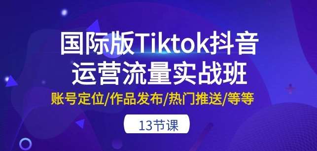 国际版Tiktok抖音运营流量实战班：账号定位/作品发布/热门推送/等等-13节-178分享