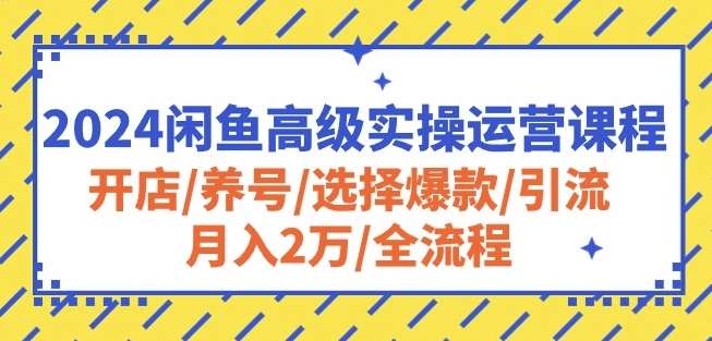 2024闲鱼高级实操运营课程：开店/养号/选择爆款/引流/月入2万/全流程-178分享